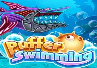 Puffer Swimming