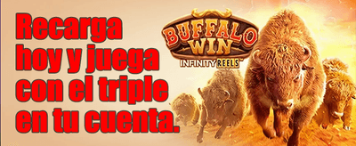 Cashback VIP Diario